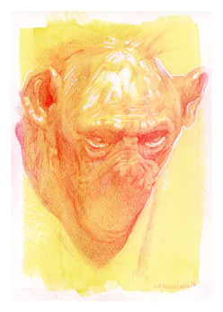 laura-weinberger_bonobo-portrait-red-pri