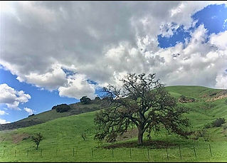 ezgif.com-webp-to-jpg (2).jpg