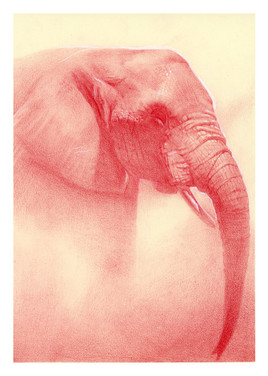 laura-weinberger_dust-storm-elephant-pri