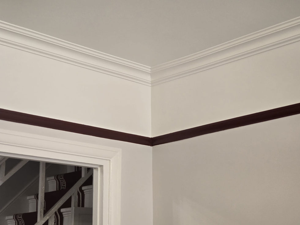 Finished plastering work with decorative crown moulding and a contrasting trim line highlighting the room’s architectural details.