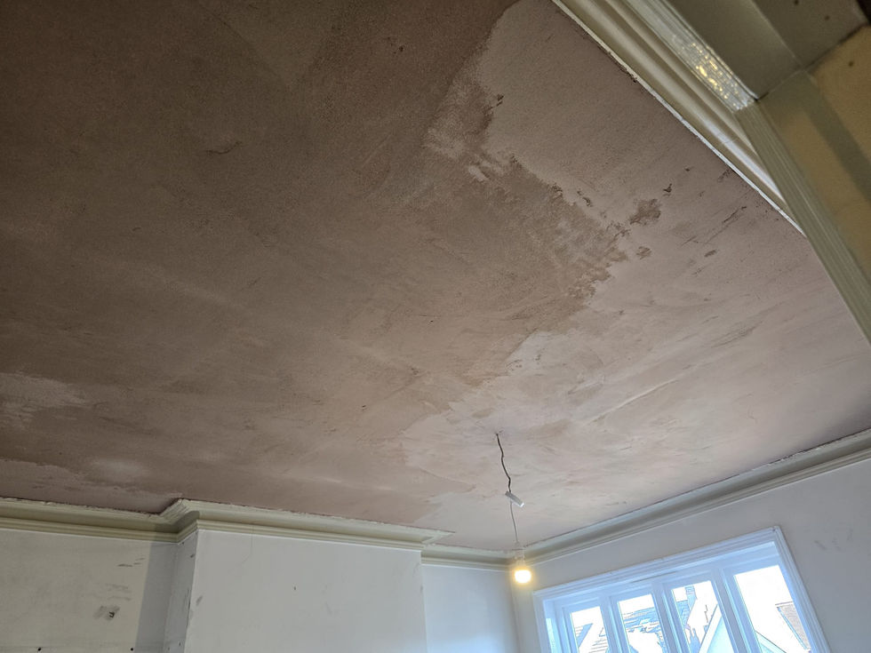 Ceiling Plastering and Surface Preparation