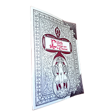 Comic foto 2_edited.png