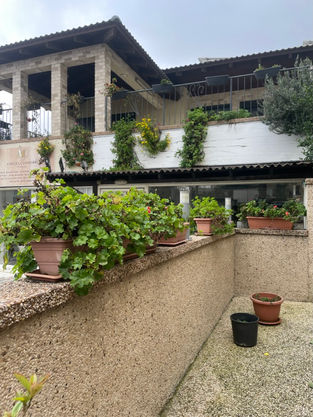 Druze Village - Daliat Carmel (Northern Israel Trip)