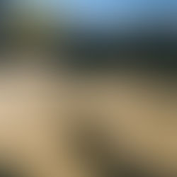 Yachts in Herzliya and the Netanya area