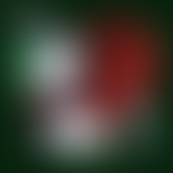 Bangladesh’s Minorities Under Attack: Who is Paying the Price for the Political Transition?