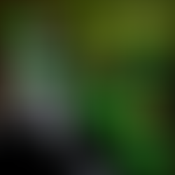 CARs on a Green Road?: Evaluating the BRI’s Sustainable Reorientations (The Case of China and Central Asia)