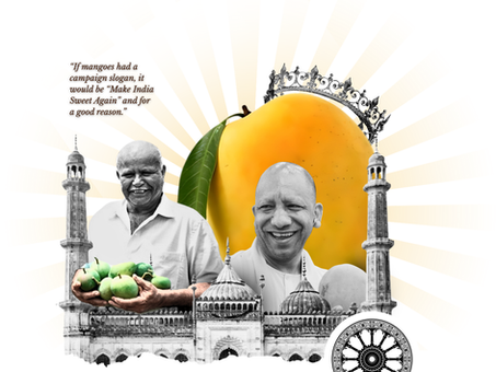 Make Mangoes Great Again? As Heat Waves Toast India’s Finest Alphonsos Climate Change Plays Spoilsport to Summer’s Sweetest Tradition