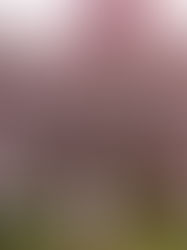 Hello, Spring: A Fresh Start That Feels Like Me Again