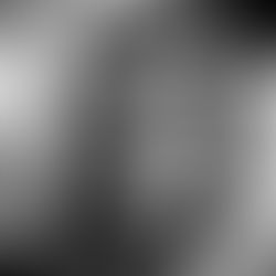 Julia Bateman Robinson 