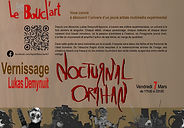Affiche recto de l'exposition Nocturnal Orphan de Luckas Demynuit du 7 mars au 15 avril 2025