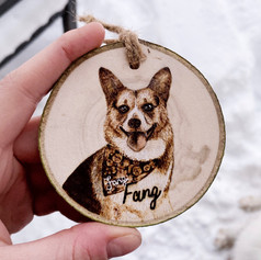 corgi.jpeg