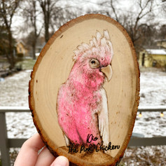 cockatoo portrait.jpeg