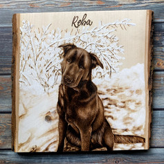 pet portrait - reba.jpeg