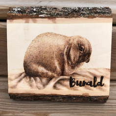 bunald woodburning.jpeg