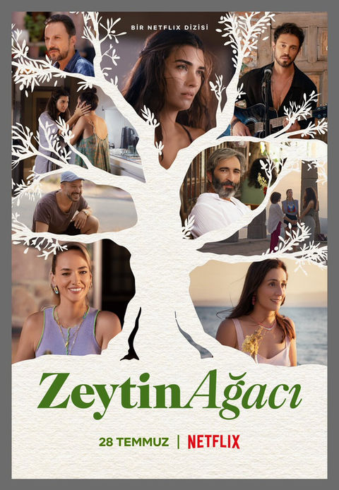 zeytin ağacı.jpeg