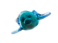 athina_png.png