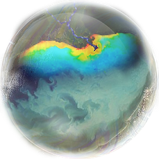 deadzone_bubble_website-1.png
