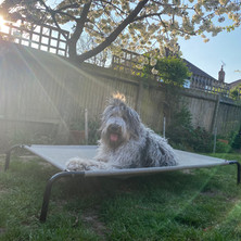 Luna, 11 months