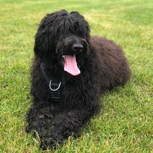 Illy di Valle Scrivia, 12 months