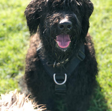 Illy di Valle Scrivia, 12 months