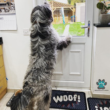 Luna di Valle Scrivia, 10 months