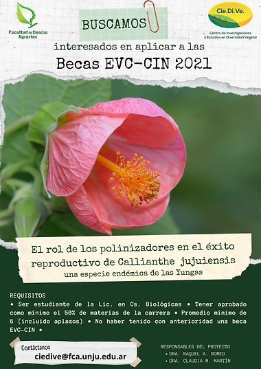 Flyer_CIEDIVE.jpeg