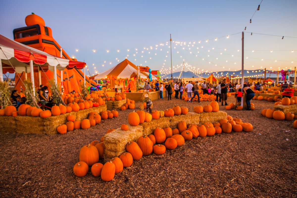 Seasonal Adventures Pumpkin Patch