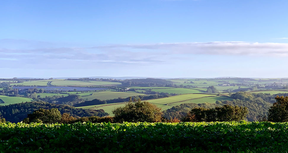 autumn view 18.10.22 1 mb.jpg