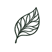 ChatGPT Image 23 de jul. de 2026, 16_26_18.png