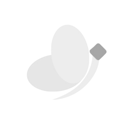 Monochromatic nanope icon, representing simple, transparent, and fast micro-loans for immediate financial support.