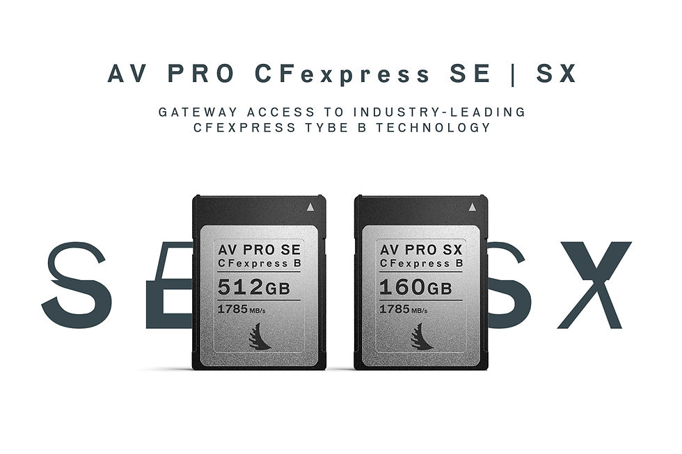20220414_CFexpress-SE-and-SX_LP-Carousel_LG.jpg