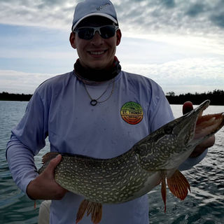 Northern Pike