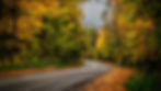 Forests_Autumn_Roads_532971_2560x1440.jpg