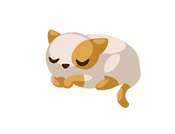 gato (2).png