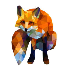 geometric fox 1.jpg