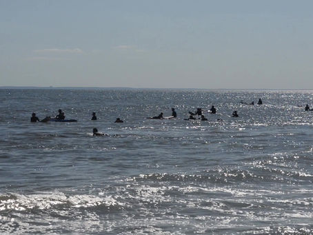 SURF in New York