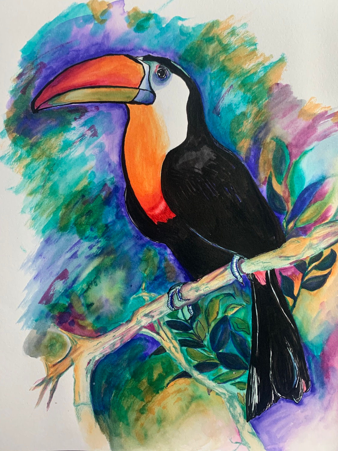 Tucan Bird Watercolor and Pen 8*10