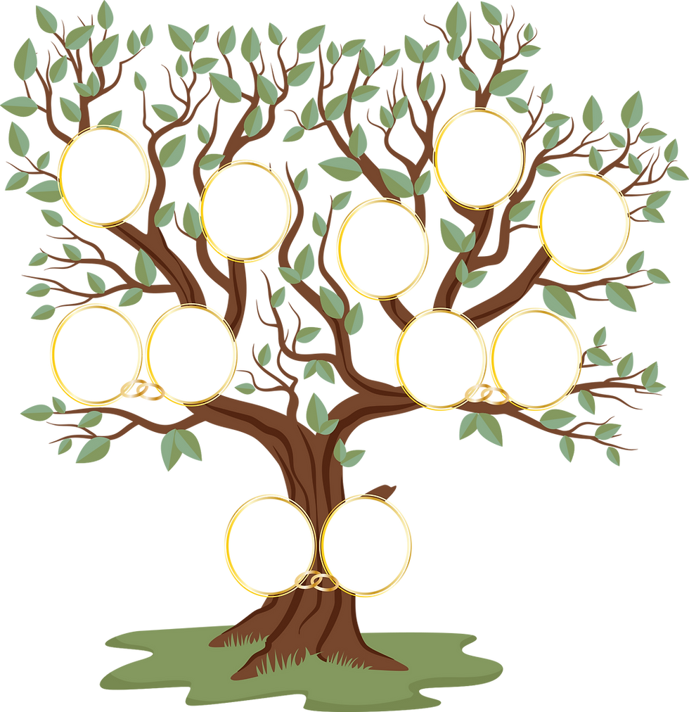 family-tree-6095395.png