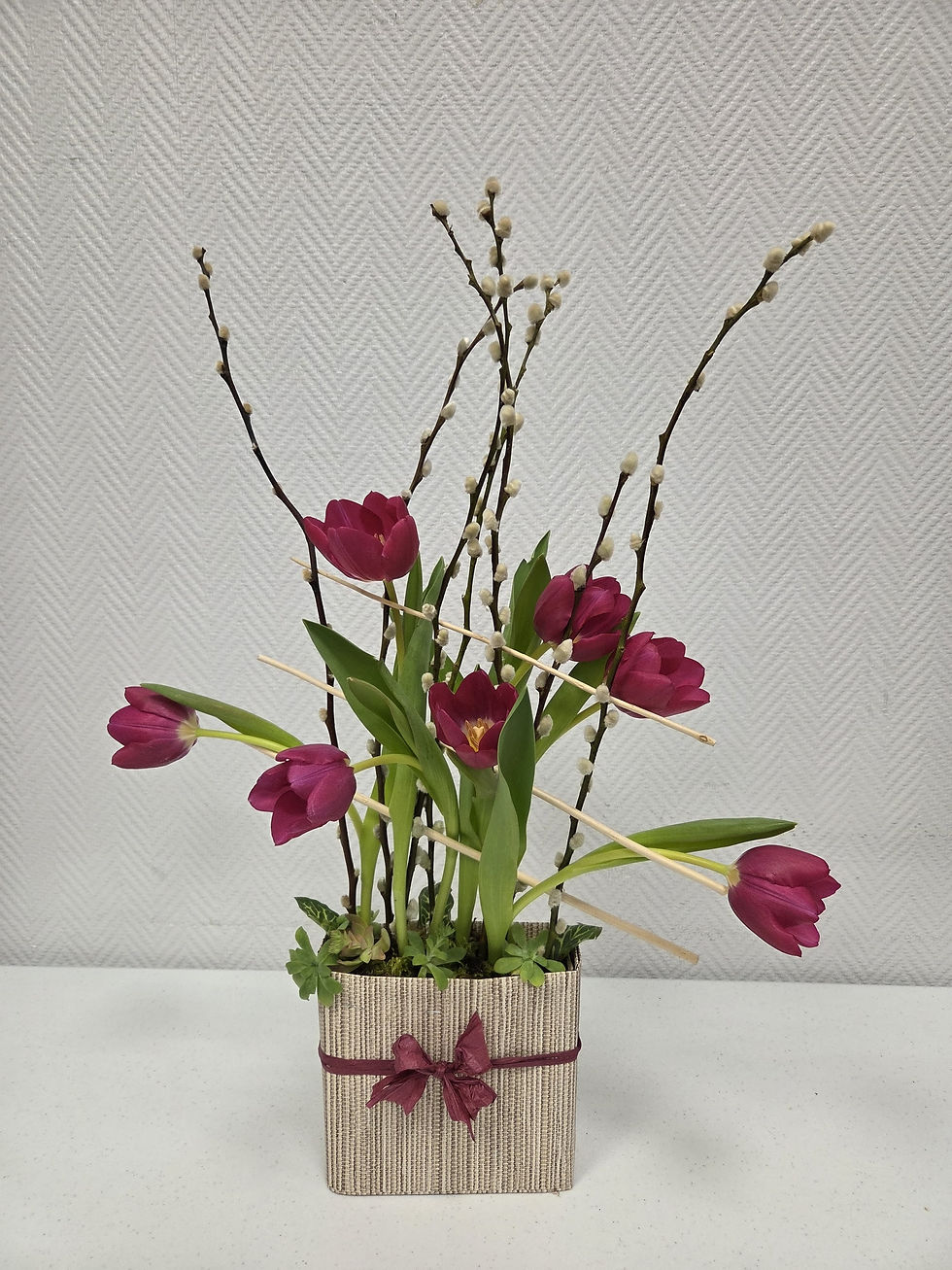 WhatsApp Image 2026-01-29 at 20.11.00 (1)