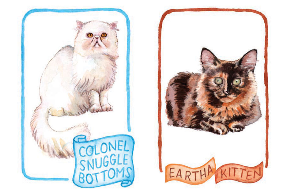 Thumbnail: Cat Lady Old Maid