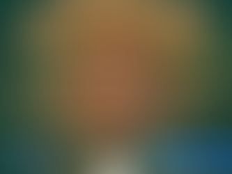 The Grotto Gazette: 13/12/23