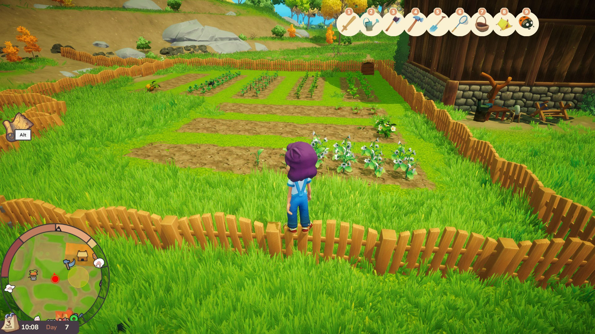 My Farm Area