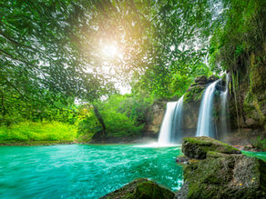 Der Schlüssel zur Freiheit: Über das Verlassen unseres inneren Käfigs