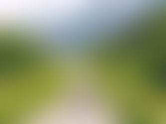 Wahre Führung vs. Leiden