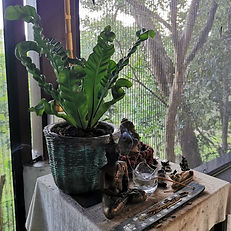 IMG_20191228_071601_edited.jpg