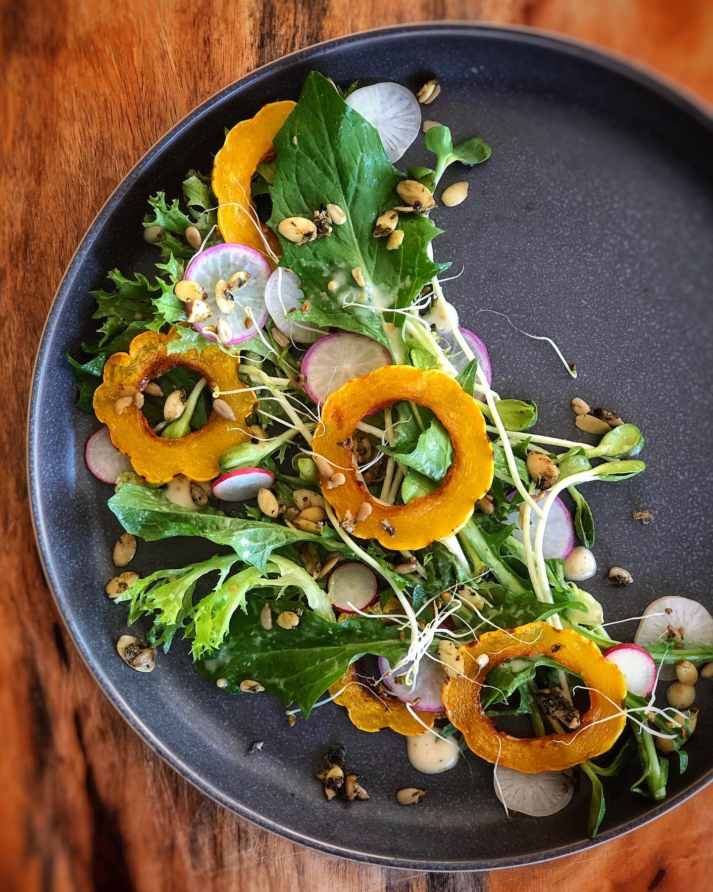 Delicata squash and arugula salad with radishes, sprouts, microgreens, and seeds