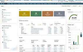 NetSuite ERP dashboard displaying financial analytics, business intelligence, and enterprise resource planning tools