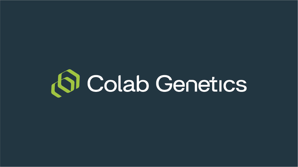 COLAB GENETICS l FIV BOVINOS l EMBRIÃO DT