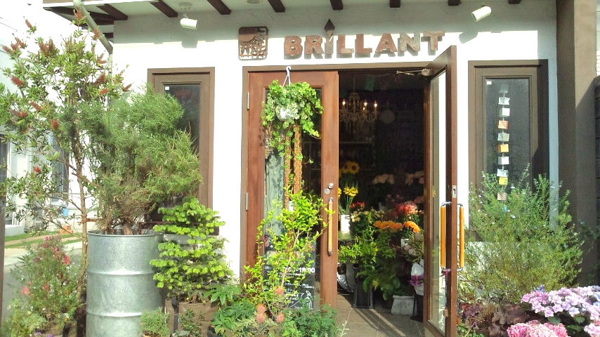 BRILLANT (ブリアント)