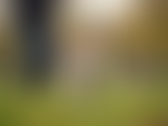 Explore Dog Training Opportunities in Finger Lakes Region